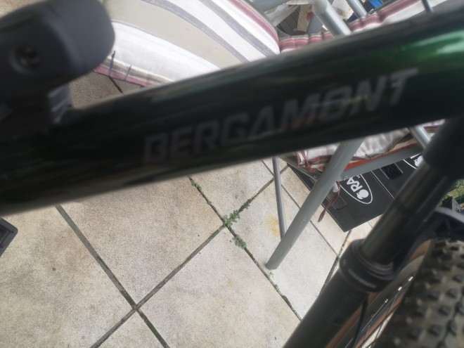 Bergamont 