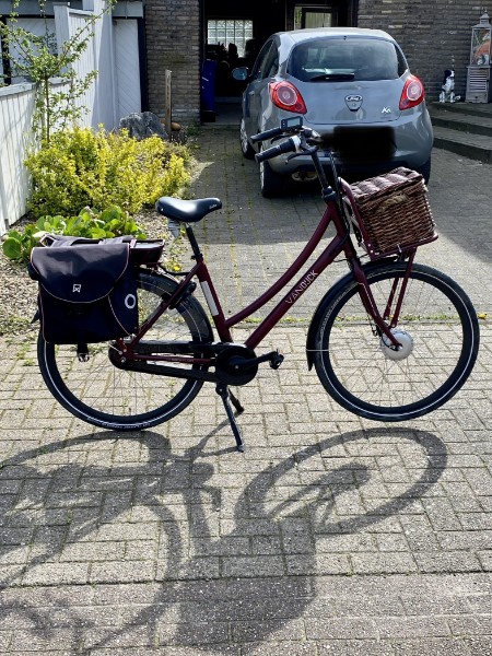 Van Dijck Aphrodite
