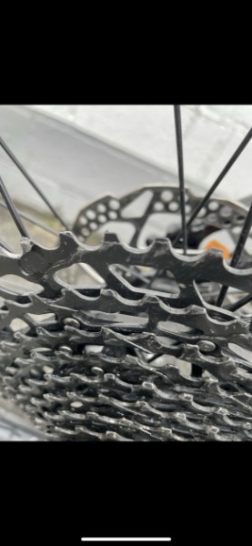Conway Mountainbike Ms929 MTB Bj2020