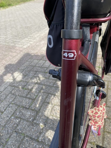 Van Dijck Aphrodite