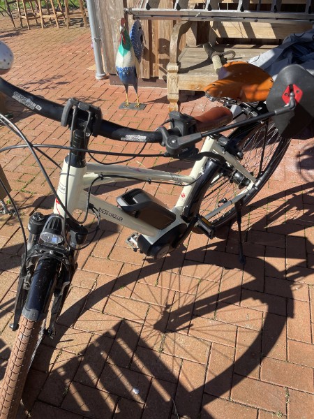 Riese und Müller Cruiser 