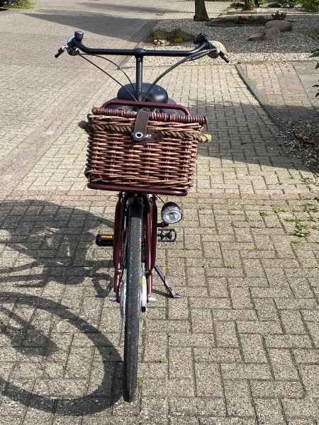 Van Dijck Aphrodite