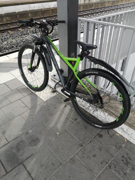 Bulls Mountainbike 